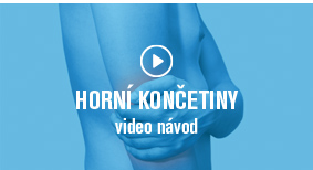 Horní končetiny